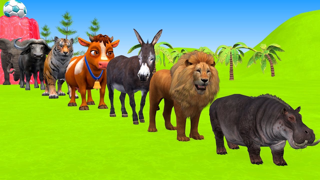 Long Slide Game With Cow Elephant Gorilla Hippopotamus Tiger 3d Animal Game Funny 3d Animals