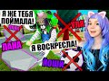 ВОСКРЕШЕНИЕ В ПРЯТКАХ! МЕНЯ НЕРЕАЛЬНО НАЙТИ! Roblox Disguise Hunt