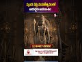 🔱 స్కంద షష్ఠి మహోత్సవంలో అరుదైన అవకాశం #SkandaShashti #subramanyahomam #short | SumanTV Geethanjali
