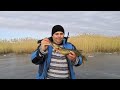 Зимняя рыбалка на ЖЕРЛИЦЫ ловим ЩУКУ в Астрахани.