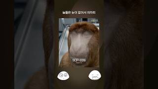 SCP-039 - 원숭이 뇌