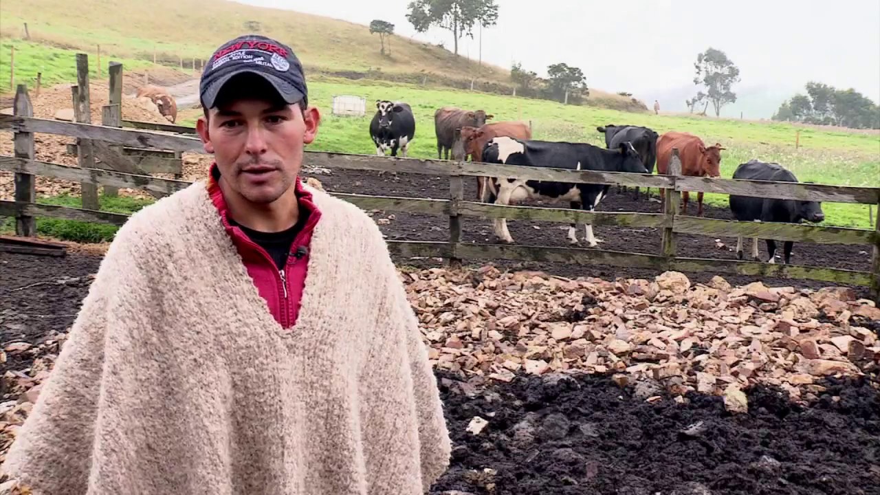 Ganadería en alturas extremas | La Finca de Hoy