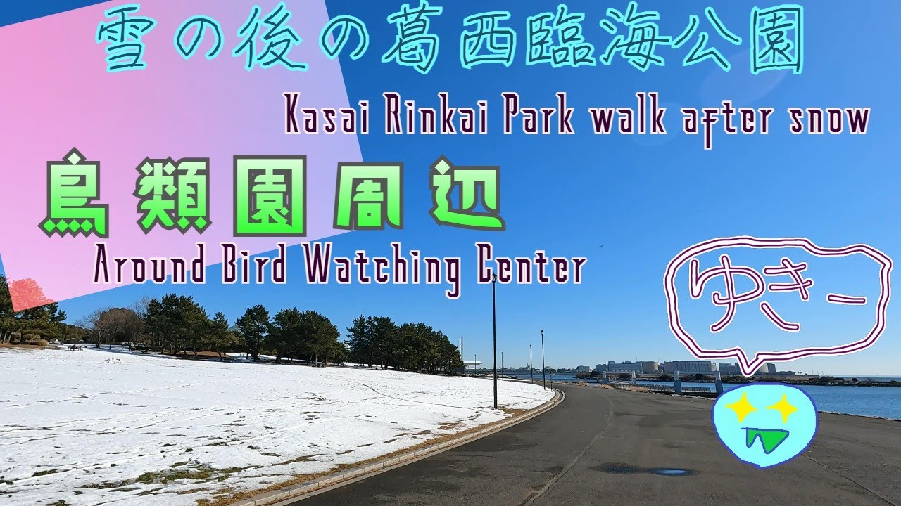 【雪の後の鳥類園】葛西臨海公園の雪とけかけ散歩 4K