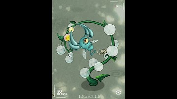 Clavi Gnat | MSM Faeries