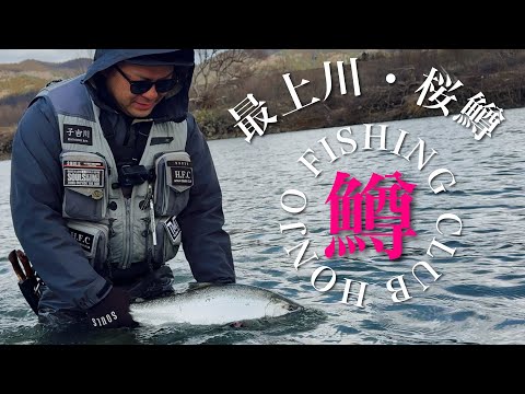 2025/03 [Sakura trout] [60cm, Muddy water fishing] Mogami River