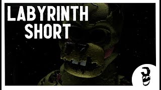 (FFPS/SFM) Labyrinth Short (FNAF 6 ANNIVERSY)