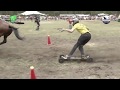 Horseboarding Holland Get Yourself ready for 2021