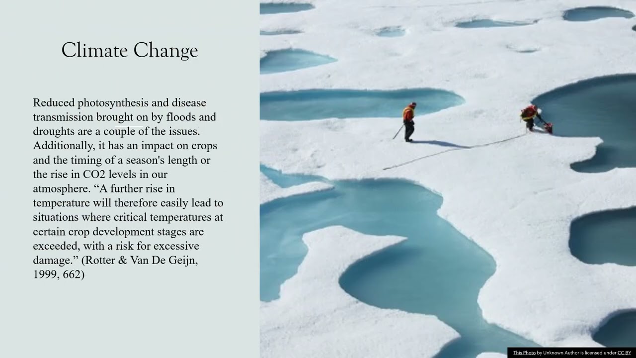 Temperatures Effects on Plant Growth VBustamante
