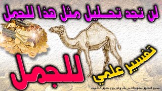 تحليل رمز الجمل    ||   #تحليل #اشارة #الجمل