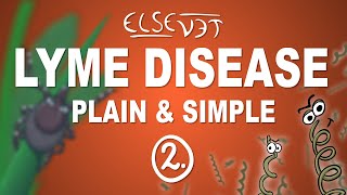 Lyme Disease  Plain and Simple (Part 2)