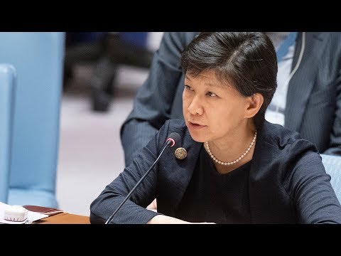 Chemical Weapons In Syria - Briefing By UN Nuclear Disarmament Chief