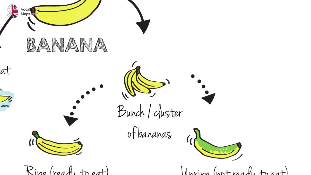 vocabulary maps banana map youtube map vocabulary