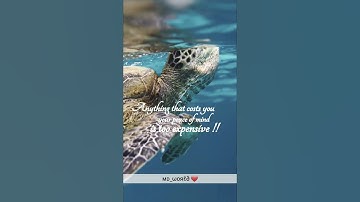 Anything that costs you your peace of mind is TOO EXPENSIVE !! ✔