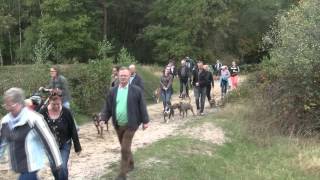 Stafford Wandeling Op De Brunssummerheide.