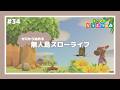 【 あつ森 】 #34 ┊︎素材集めながら新規住民と仲良くなる【 びすけっ島 】