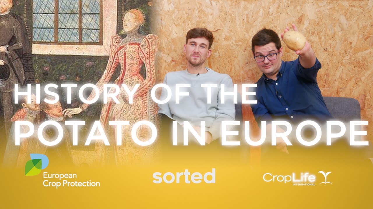 History of the potato in Europe behind the scenes with SORTEDfood