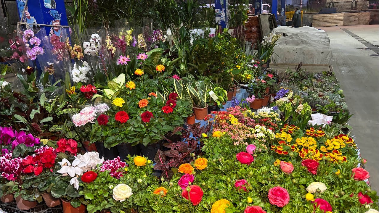 21 Şubat 2026 Aydın Nazilli Cumartesi #keşfet #