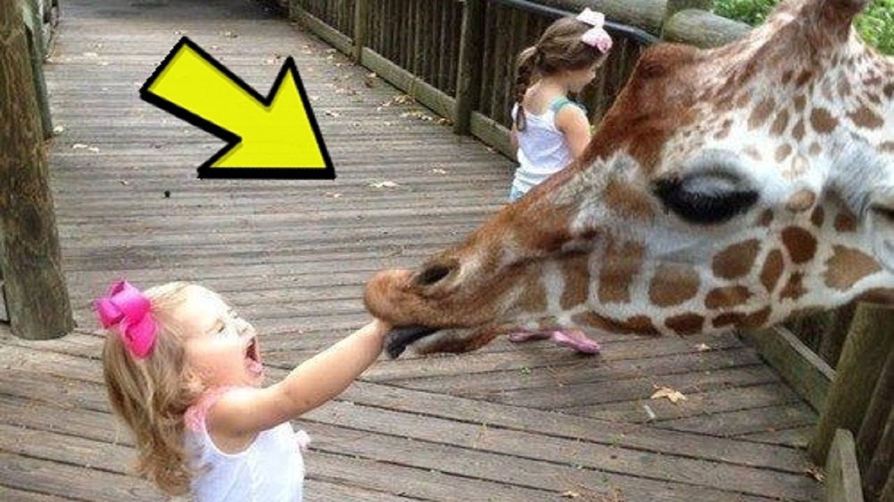 Жизнь в приюте