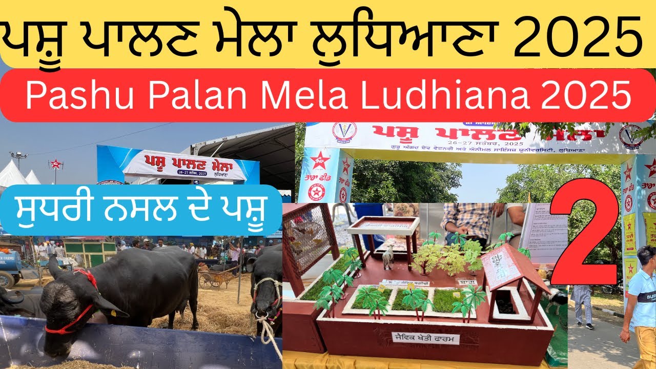 ਪਸ਼ੂ ਪਾਲਣ ਮੇਲਾ ਲੁਧਿਆਣਾ 2025 | pashu palan mela Ludhiana 2025 | pashu palan mela Ludhiana 