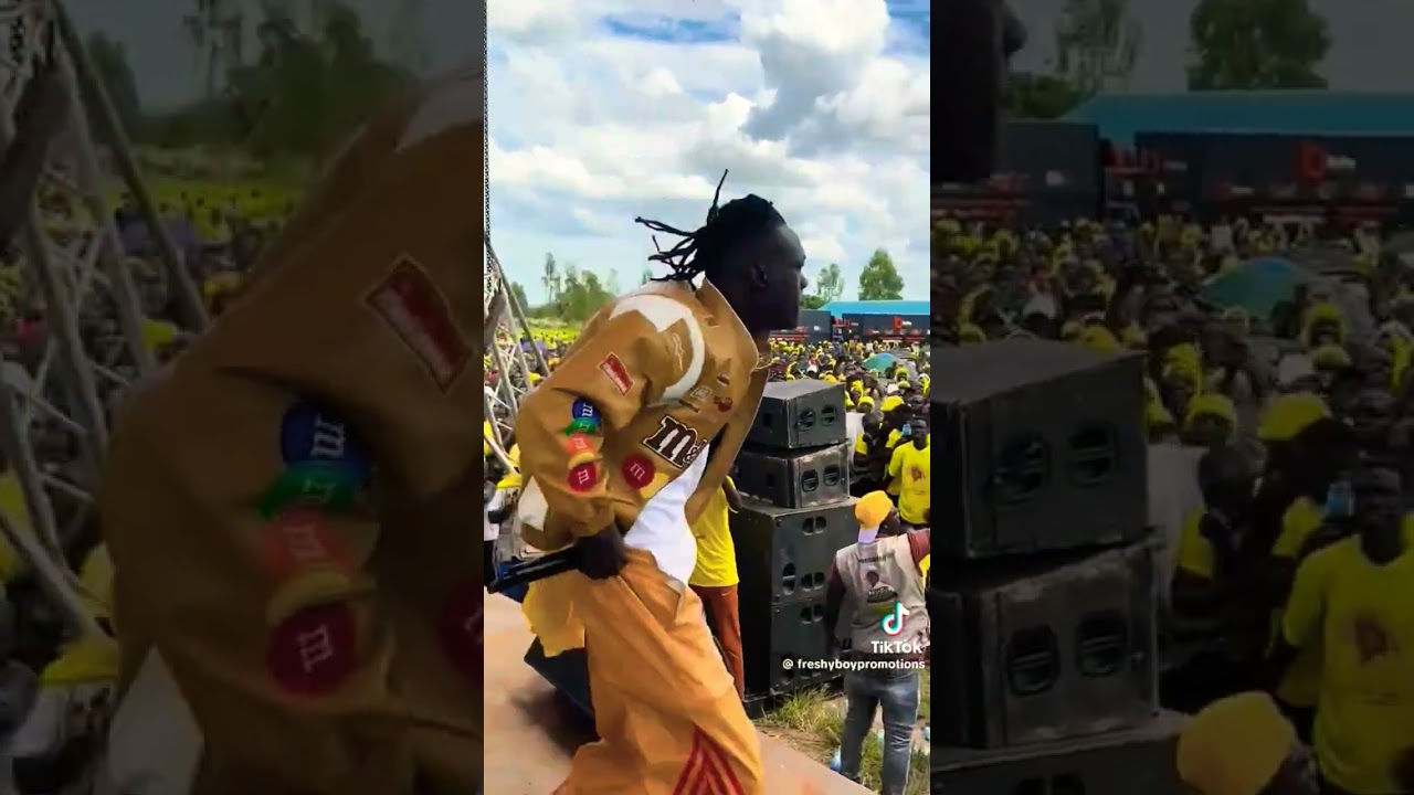 Kasid Puma latest Performance