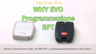 Why Evo BFT