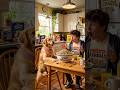 Dog eating food with a boy sitting on a chair....! 🦮🐕🦺🐕 | #dog #boy #eting #thischair #2026