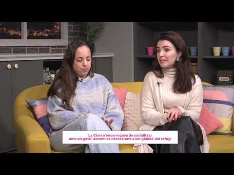 La història dels voluntaris expulsats del refugi d’animals APAN d'Òdena on dedicaven temps i ànima