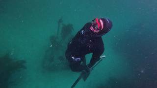 Spearfishing | Glencarin | Group dive | Cape Town | Freediving