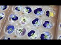 Lavender Chocolate Bonbons | Silent Craft Process