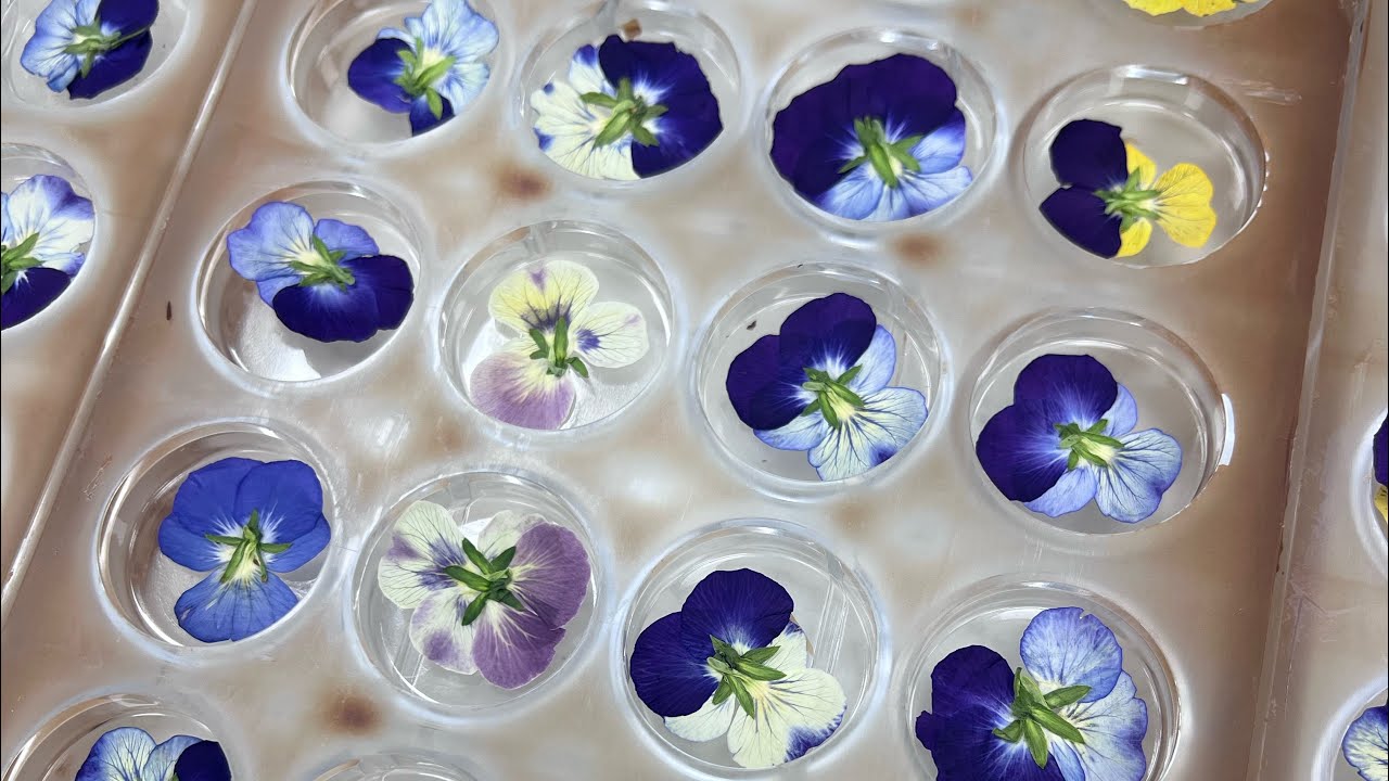 Lavender Chocolate Bonbons | Silent Craft Process