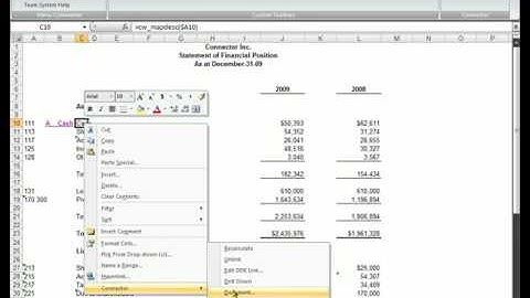 CaseWare Connector: Referencing