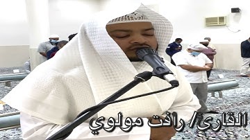 تراويح ليلة (١٣) ١٤٤٢ القارئ/ رأفت مولوي