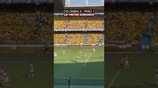 La Mejor Hinchada !! Colombia 0 - Perú 1
