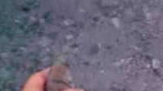 Video000.3gp