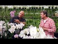 The garden gurus  orchids at floraplant