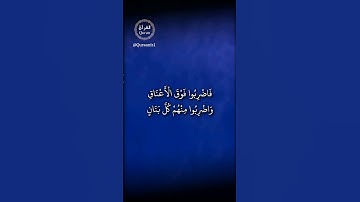 ومن يشاقق الله ورسوله فإن الله شديد العقاب- تلاوة مميزةآيات قصيرة بصوت القارئ أحمد العجمي -الأنفال١٢