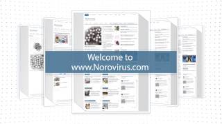 Norovirus.com - Information, Stats, Cleanup, Sympotoms of Norovirus - Norwalk Virus