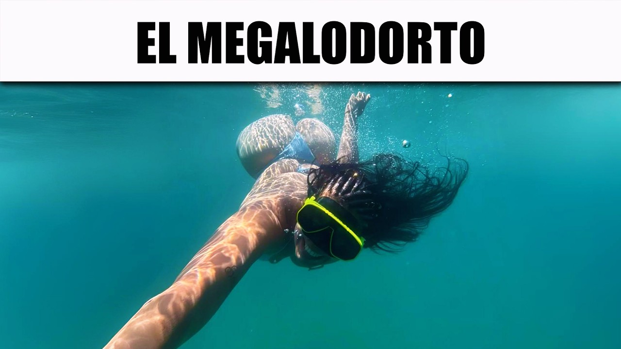 LOS MEJORES MEMES DE LA SEMANA #80