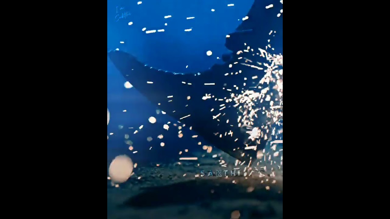 valimai | thala | mass | whatsapp status | 