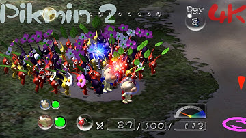 Pikmin 2 4K game showing