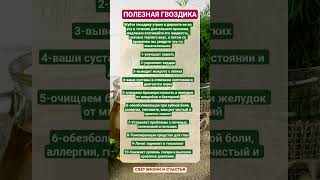 НУ ОЧЕНЬ ПОЛЕЗНАЯ ПРЯНОСТЬ - ГВОЗДИКА! #здоровье #зож #витамины #гвоздика #пп #факты #органы #шортс