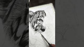 Realistic Tiger Drawing ✍️ (part-3)#shorts #youtubeshorts #youtube #drawing #tiger #artbyabhishek