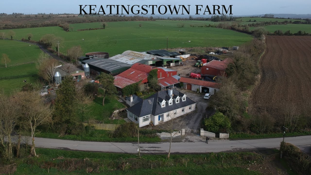 A Year At Keatingstown Farm