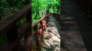 Jembatan Kayu Arah Air Terjun Sasnek