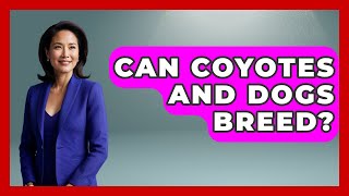 Can Coyotes And Dogs Breed? - Exploring Campgrounds