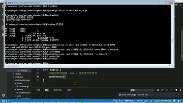 255 尚硅谷 Go核心编程 结构体 map 切片序列化