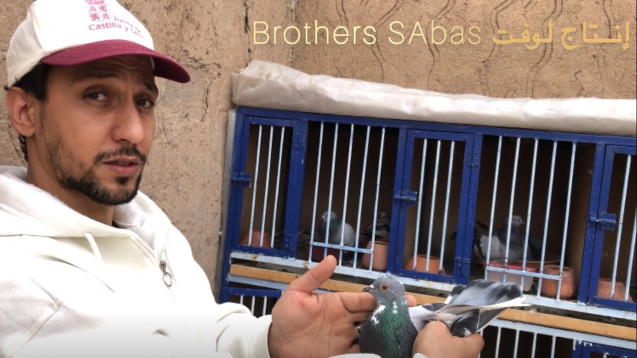 أجي نتولعو جميع و نشوفو حميمات الإنتاج 2024 عند لوفت Brothers Sabas