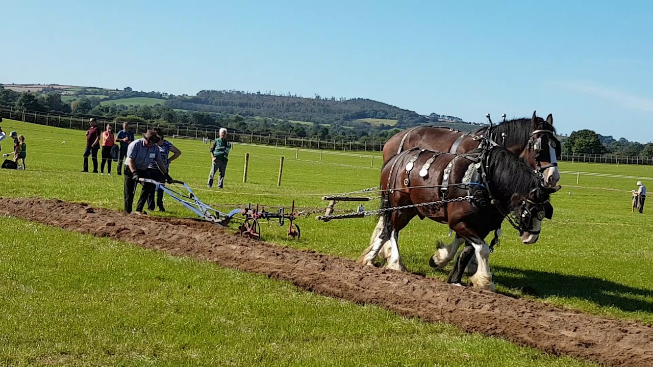 The National Ploughing Championships Ballintrane, Fenagh, County Carlow, Ireland. Day 2