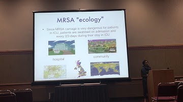 Ledda: A formal model of clonal expansion in bacterial population genetics