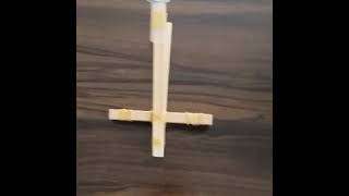 CATAPULT for STEM Kids